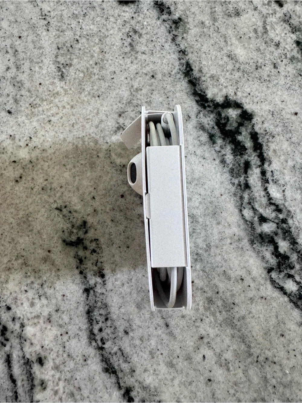 Apple Wired Earphones with lightening connector